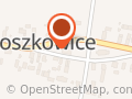 Publiczna Szkoła Podstawowa w Roszkowicach