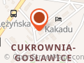 Szadkowski Piotr. Finansowanie