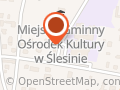 Gimnazjum Im. Mikołaja Kopernika W Ślesinie