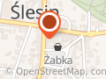 NAOKO Optyk Ślesin