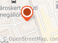 Sólyom Ildikó Gyermekkineziológus