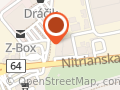 Action Partizanske