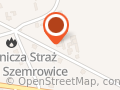Biały Pudel. Salon Fryzjersko - Kosmetyczny Dla Zwierząt. Hodowla, Tresura