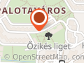 Győrffy Elza Festő