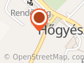 Bloom Hőgyész