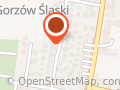 Maliński Józef. Wideofilmowanie