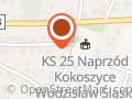 Klub Sportowy 25 Kokoszyce