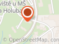 Emilie Dolejšová