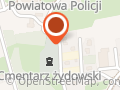 Krys. Elektronika Pojazdowa. Jankowski K.