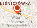 CZESŁAWA STĘPIŃSKA MATTOYS