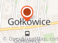 Pałac w Gołkowicach