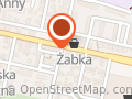 Rybnik Taxi Duo