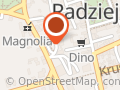 Finezja Radziejów