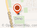 Market Dino