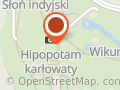 Cafe ZOO kawiarnia całoroczna