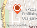 Grzeszczak Tomasz. Pracownia Lutnicza