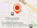 Borzyszkowski Andrzej. Firma transportowa