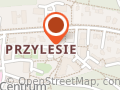 Fizjopraktyka prywatna Gdanskrehabilitacja.pl z dojazdem do domu
