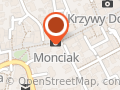Storczyk. Kwiaciarnia