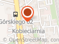 Usługi Motoryzacyjne Maxi-Wicz