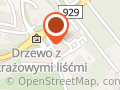 Magro International. Sp. Z O.o. Autoryzowany Dealer Vw i Audi