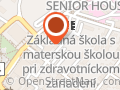 Autosklo Hornet
