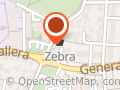 Zebra Papierniczy Toruń
