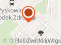 Raszka Roman. Teleradiomechanika
