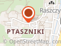 NAM AUTO ARKADIUSZ MISZCZYSZYN