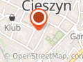 Polski Związek Niewidomych. Okręg śląski. Koło