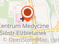 Zgromadzenie Sióstr św. Elżbiety, Fundacja św. Elżbiety Węgierskiej