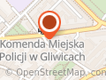 Mario Car Sp.j. Śląskie Centrum r. J. Wypich