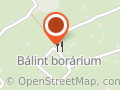Bálint Borárium