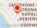 Dufał. Profesjonalne usuwanie wgnieceń bez lakierowania. Rzyczniok D.