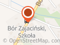 Publiczna Szkoła Podstawowa im. Adama Mickiewicza w Borze Zajacińskim