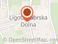 Łacińska Maria. Metale kolorowe