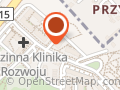 Usługi Transportowe Dawid Rafiński