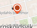 Ödlan och Brorsan AB