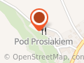 Pod Złotym Prosiakiem