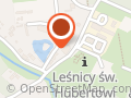 Ignasiak Anna. Usługi porządkowe