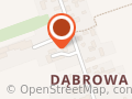 Przetwórstwo Owoców i Warzyw "DROS"