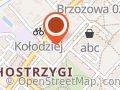 Giganci Programowania