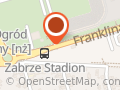 Górnik Zabrze. Młodzieżowa Szkółka Piłki Nożnej