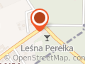Leśna Perełka