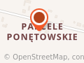 PK Serwis Paweł Kruszyński