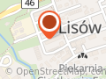 SOWA TRANSPORT FIRMA HANDLOWO USŁUGOWA