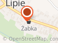 Żabka