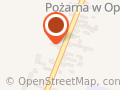 Izydorczyk m. Kompozycje Kwiatowe