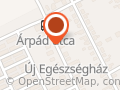 Pátyi magánvérvétel