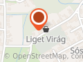Liget Virág